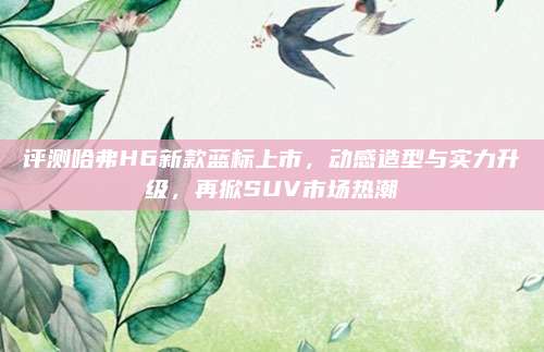 评测哈弗H6新款蓝标上市,动感造型与实力升级,再掀SUV市场热潮