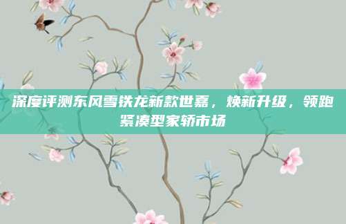 深度评测东风雪铁龙新款世嘉，焕新升级，领跑紧凑型家轿市场