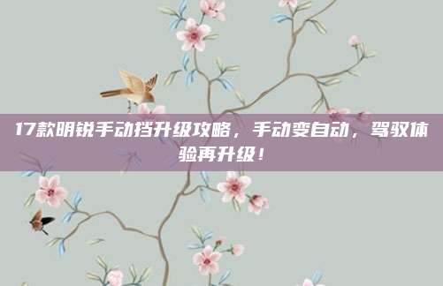 17款明锐手动挡升级攻略,手动变自动,驾驭体验再升级!