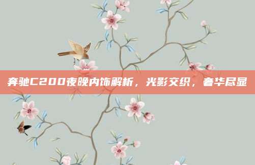 奔驰C200夜晚内饰解析，光影交织，奢华尽显