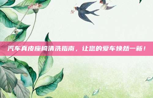 汽车真皮座椅清洗指南，让您的爱车焕然一新！