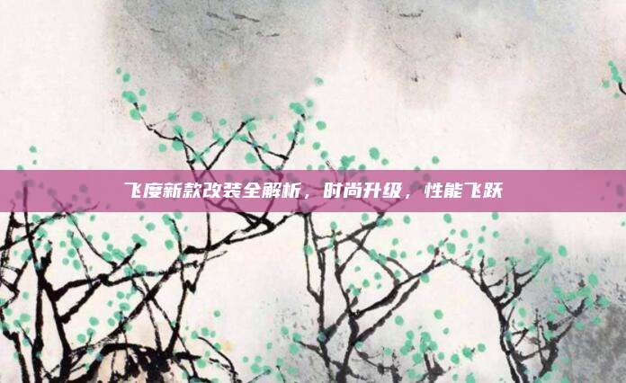 飞度新款改装全解析,时尚升级,性能飞跃