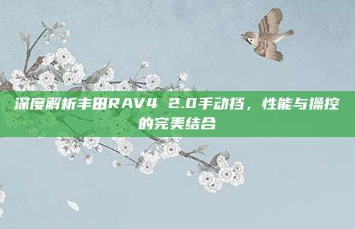 深度解析丰田RAV4 2.0手动挡，性能与操控的完美结合