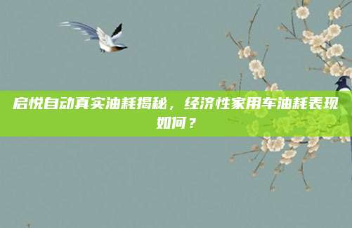 启悦自动真实油耗揭秘,经济性家用车油耗表现如何?