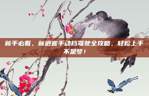 新手必看,新逍客手动档驾驶全攻略,轻松上手不是梦!
