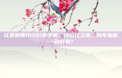 比亚迪唐100价格详解,性价比之选,购车指南一网打尽!