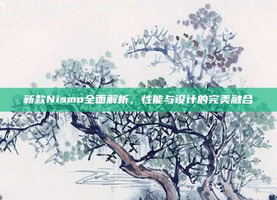 新款Nismo全面解析，性能与设计的完美融合