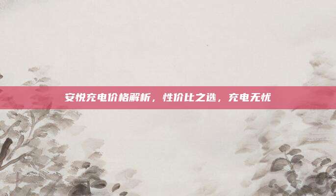 安悦充电价格解析，性价比之选，充电无忧