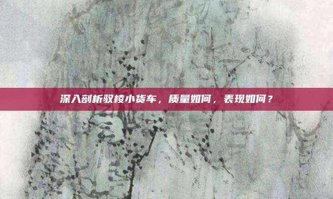 深入剖析驭棱小货车,质量如何,表现如何?