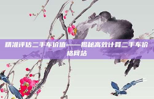 精准评估二手车价值——揭秘高效计算二手车价格网站
