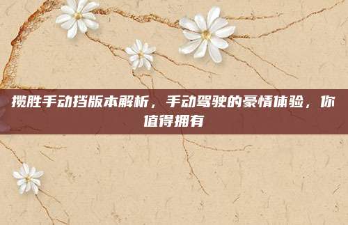 揽胜手动挡版本解析，手动驾驶的豪情体验，你值得拥有