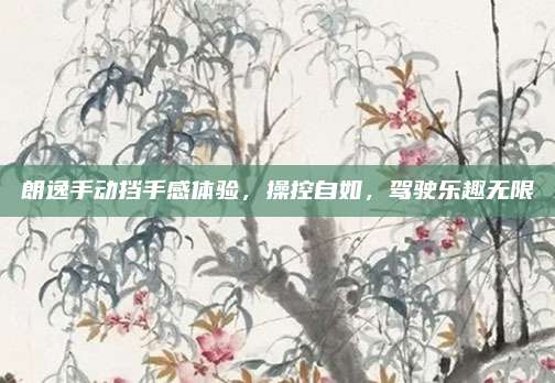 朗逸手动挡手感体验，操控自如，驾驶乐趣无限