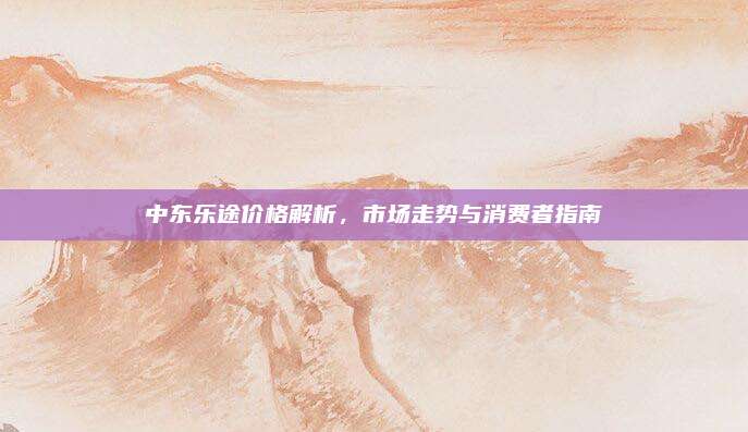 中东乐途价格解析，市场走势与消费者指南