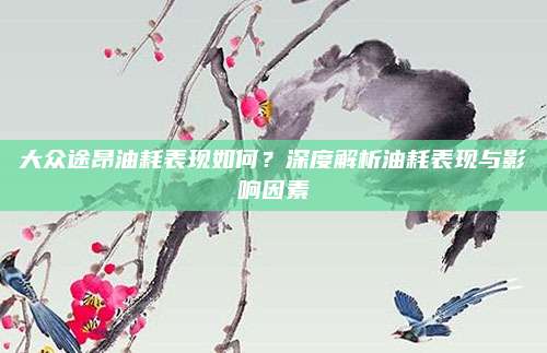 大众途昂油耗表现如何？深度解析油耗表现与影响因素