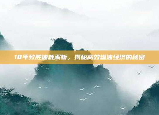 10年致胜油耗解析,揭秘高效燃油经济的秘密