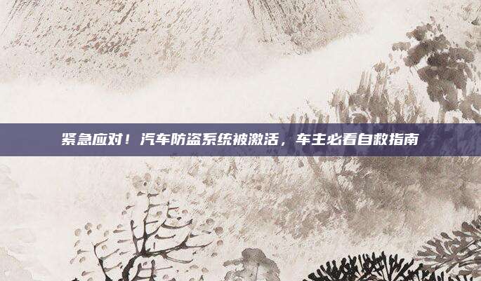 紧急应对！汽车防盗系统被激活，车主必看自救指南