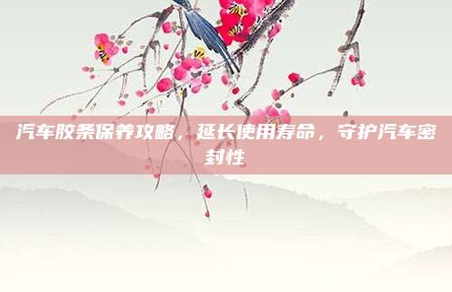 汽车胶条保养攻略,延长使用寿命,守护汽车密封性