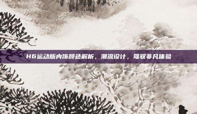 H6运动版内饰颜色解析,潮流设计,驾驭非凡体验