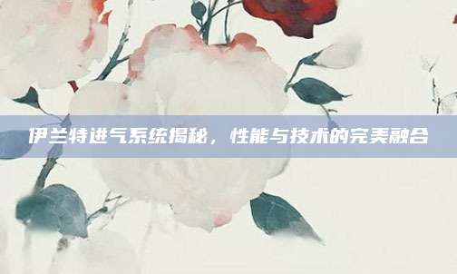 伊兰特进气系统揭秘,性能与技术的完美融合
