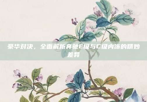 豪华对决,全面解析奔驰E级与C级内饰的精妙差异