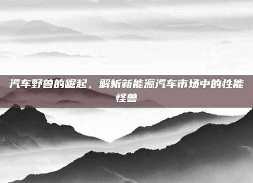 汽车野兽的崛起,解析新能源汽车市场中的性能怪兽