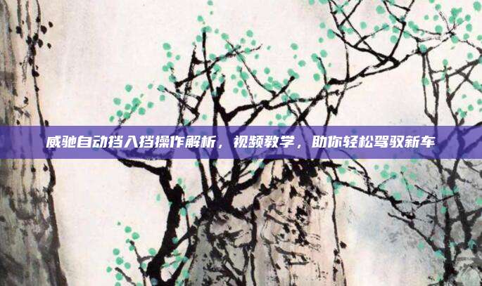 威驰自动挡入挡操作解析,视频教学,助你轻松驾驭新车