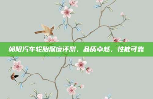 朝阳汽车轮胎深度评测,品质卓越,性能可靠