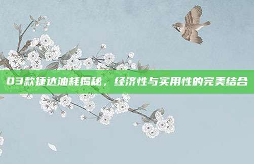 03款捷达油耗揭秘,经济性与实用性的完美结合