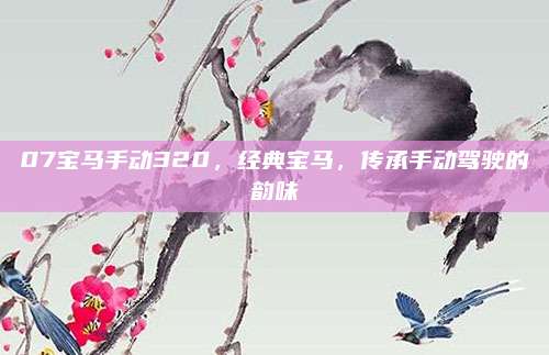 07宝马手动320,经典宝马,传承手动驾驶的韵味