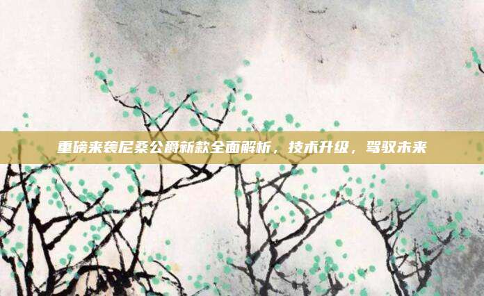 重磅来袭尼桑公爵新款全面解析,技术升级,驾驭未来