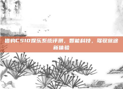 猎豹CS10娱乐系统评测,智能科技,驾驭旅途新体验