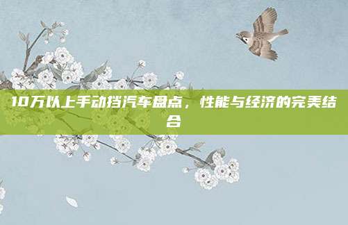 10万以上手动挡汽车盘点,性能与经济的完美结合