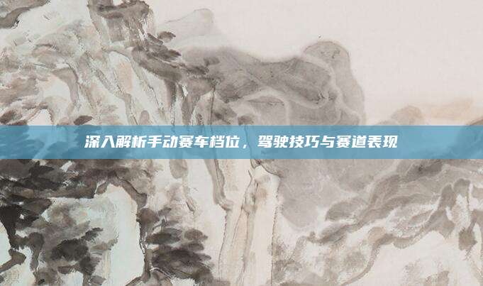 深入解析手动赛车档位,驾驶技巧与赛道表现