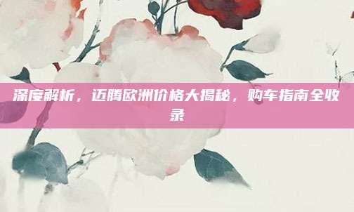 深度解析,迈腾欧洲价格大揭秘,购车指南全收录