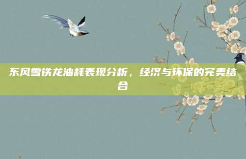 东风雪铁龙油耗表现分析,经济与环保的完美结合