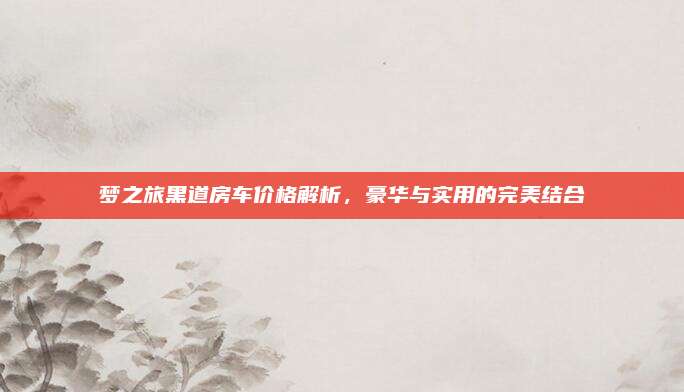 梦之旅黑道房车价格解析,豪华与实用的完美结合