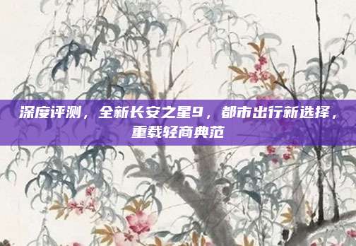 深度评测,全新长安之星9,都市出行新选择,重载轻商典范