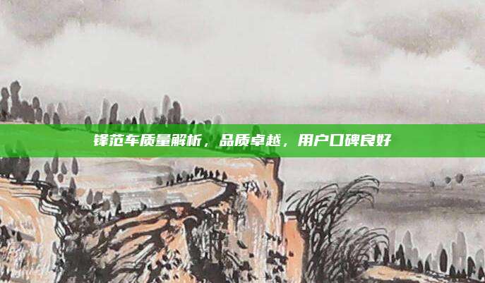 锋范车质量解析,品质卓越,用户口碑良好