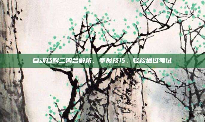 自动挡科二离合解析，掌握技巧，轻松通过考试