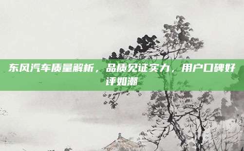东风汽车质量解析,品质见证实力,用户口碑好评如潮
