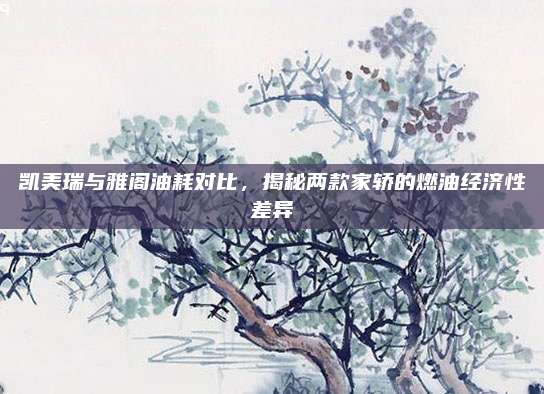 凯美瑞与雅阁油耗对比,揭秘两款家轿的燃油经济性差异