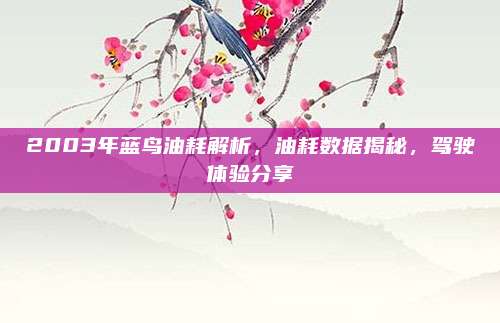 2003年蓝鸟油耗解析,油耗数据揭秘,驾驶体验分享