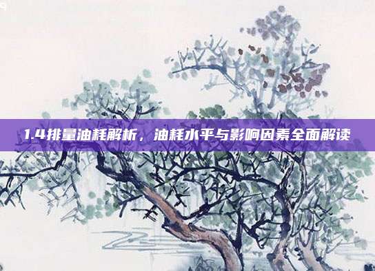 1.4排量油耗解析,油耗水平与影响因素全面解读