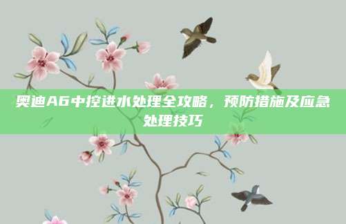 奥迪A6中控进水处理全攻略,预防措施及应急处理技巧