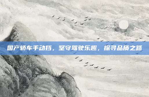 国产轿车手动挡,坚守驾驶乐趣,探寻品质之路