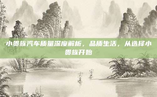 小贵族汽车质量深度解析,品质生活,从选择小贵族开始