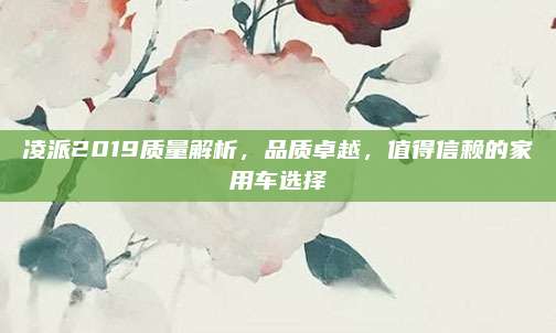 凌派2019质量解析,品质卓越,值得信赖的家用车选择
