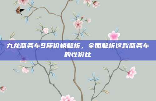 九龙商务车9座价格解析,全面解析这款商务车的性价比