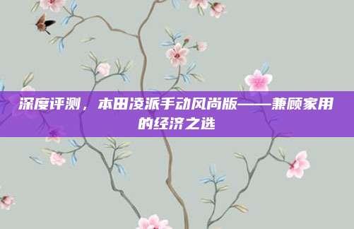 深度评测,本田凌派手动风尚版——兼顾家用的经济之选