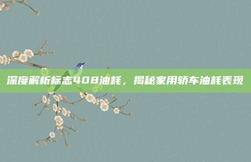 深度解析标志408油耗,揭秘家用轿车油耗表现